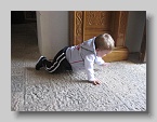 IMG_1281 (Medium)